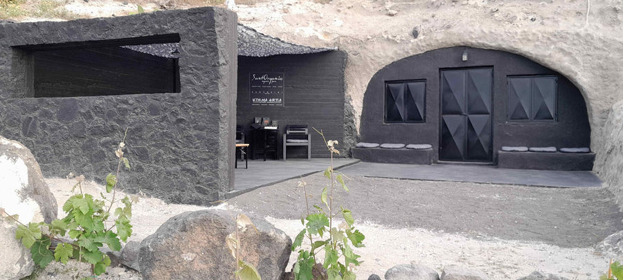 SANTORGANICS (2) (1).jpg